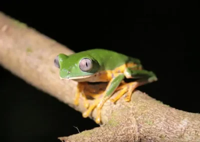 Experiencia espiritual en la Amazonía peruana